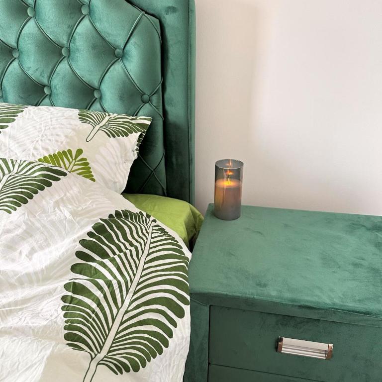 Lexi Borovi apartman - Apartman sa 1 Spavaćom Sobom - 3