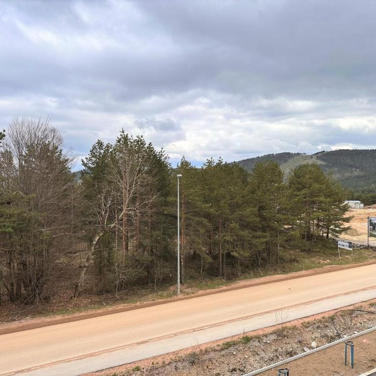 Lexi Borovi apartman - Apartman sa 1 Spavaćom Sobom - 25