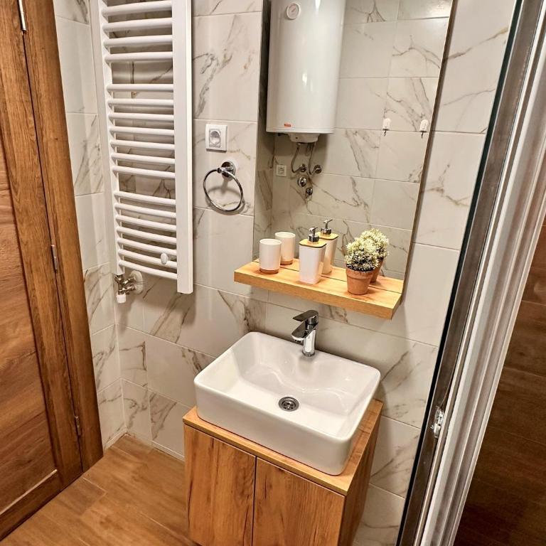 Lexi Borovi apartman - Apartman sa 1 Spavaćom Sobom - 22