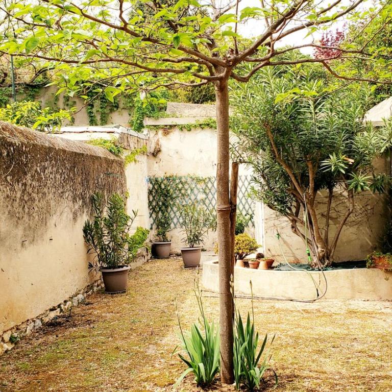 Appartement au cœur de cassis avec jardin - Appartement 1 Chambre - 11