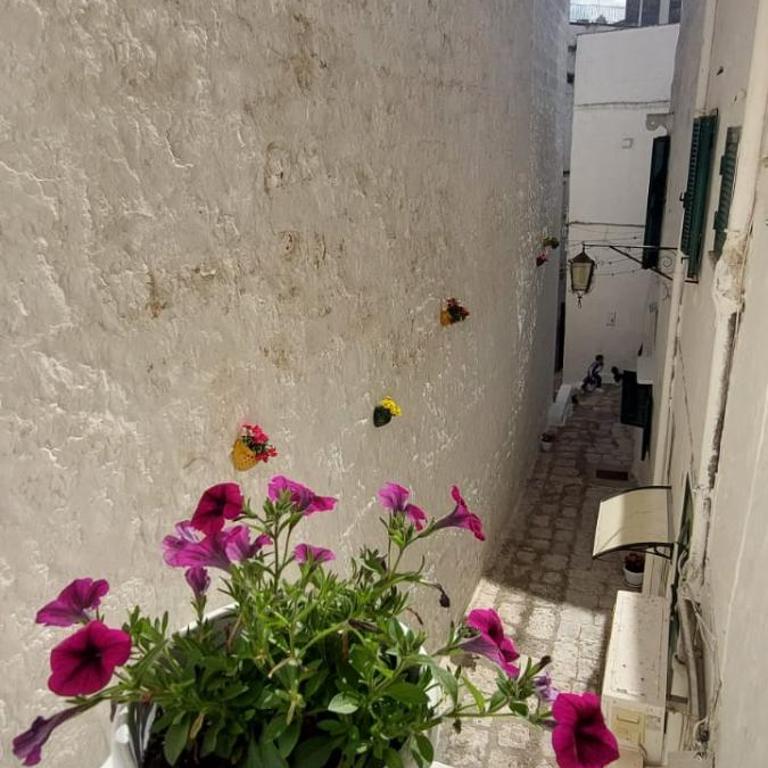 Dimora Lavinia Casa vacanze Centro storico Ostuni - Casa con 4 camere da letto - 78