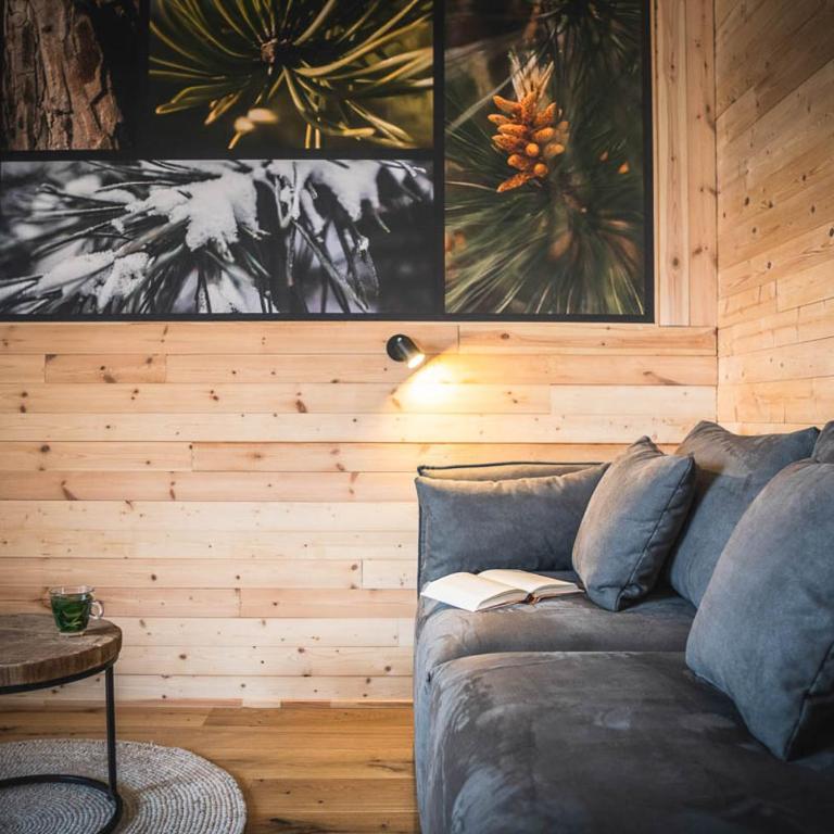 Alpine Kraft - Deluxe Apartment - 11