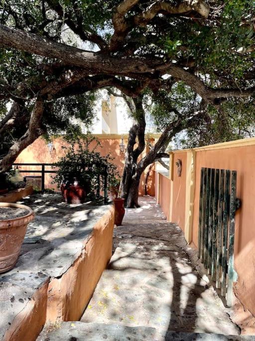 Villa ANTONIA - Villa - 15