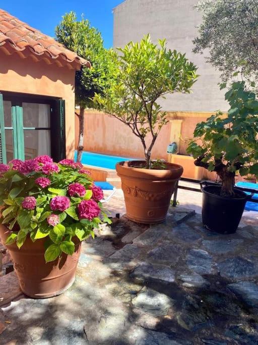 Villa ANTONIA - Villa - 12