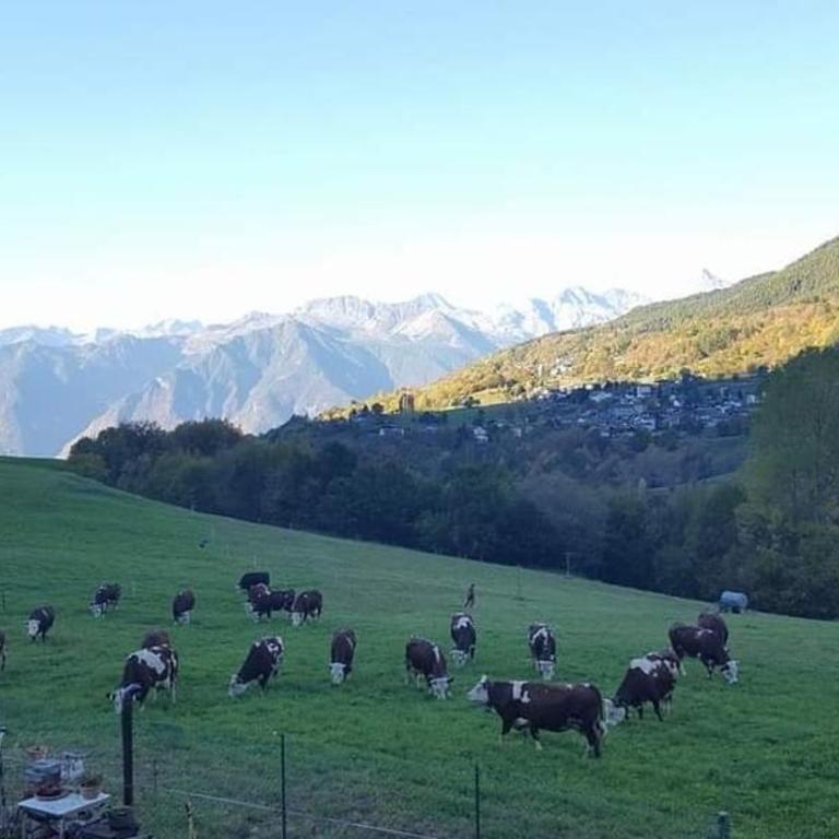 Casa Indipendente Val d'Ayas - Challand Saint Anselme - Casa con 2 Camere da Letto - 13