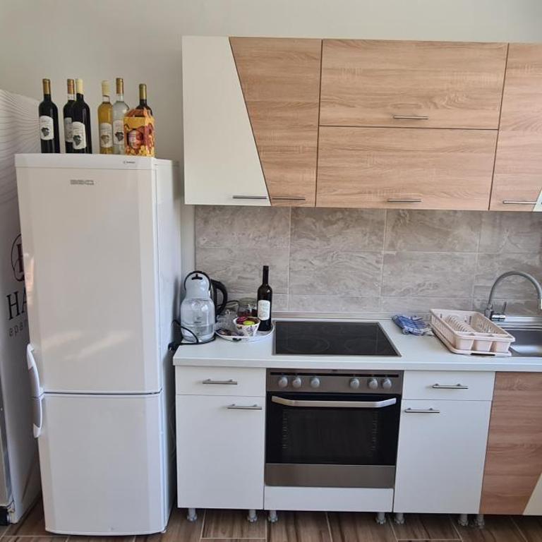 Apartmani Hani - Apartman sa 1 Spavaćom Sobom - 9