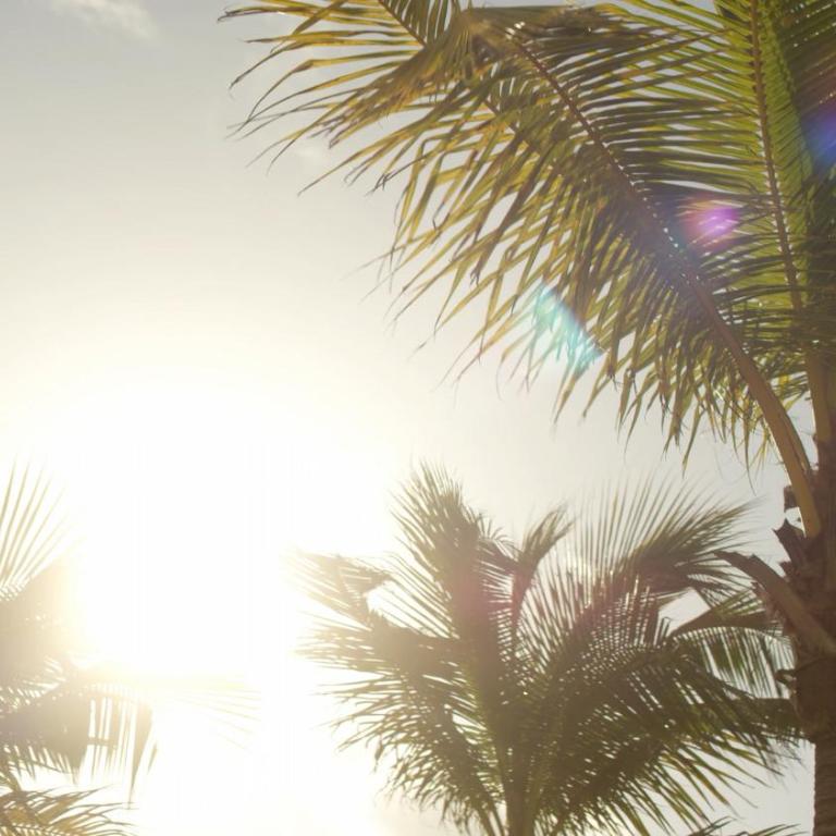 Secrets Riviera Cancún Resort & Spa - Adults Only - All inclusive - Run of the House - 2