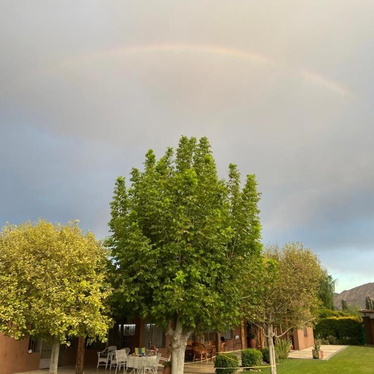 Casa Cefas -Zonda San Juan- - Casa con 1 dormitorio - 11