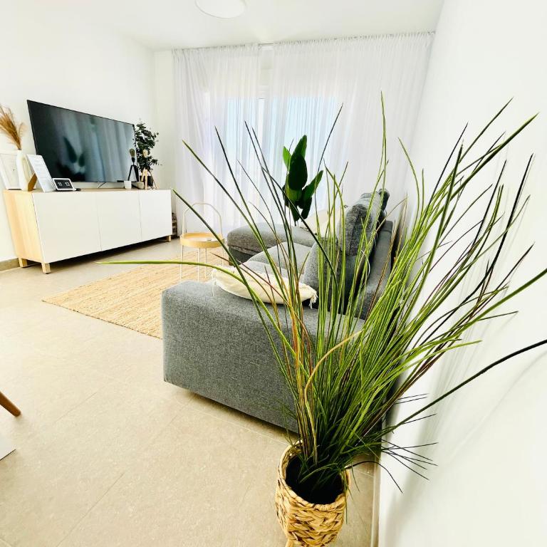 Apartamento Rokita Blanca - Apartamento de 2 dormitorios - 2