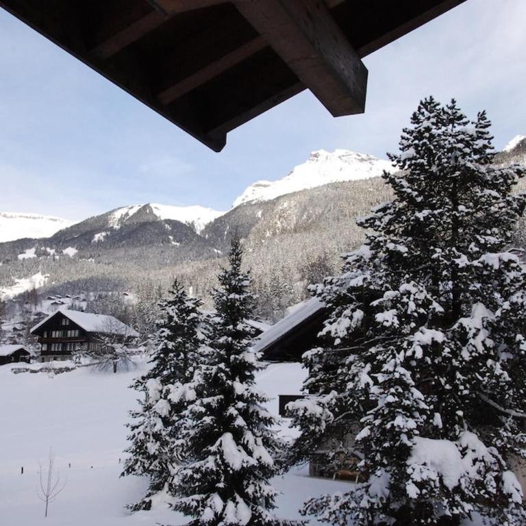 Breithorn Apartment, Eiger North Face View - Apartment mit 2 Schlafzimmern - 9