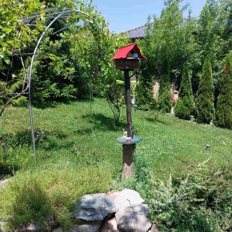 Villa Elma - Vila - 32