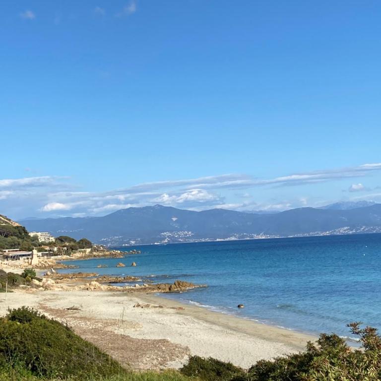 Résidence City Suites Ajaccio - Estudio - Adaptado para personas con movilidad reducida - 12
