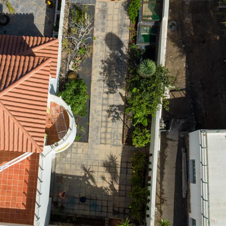 Los Helechos - Apartamento de 1 dormitorio - 7