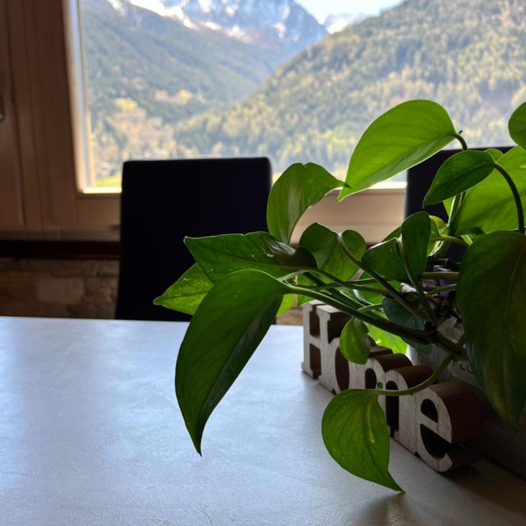 Residenze Vezza - Home sweet home- - Apartment - 34
