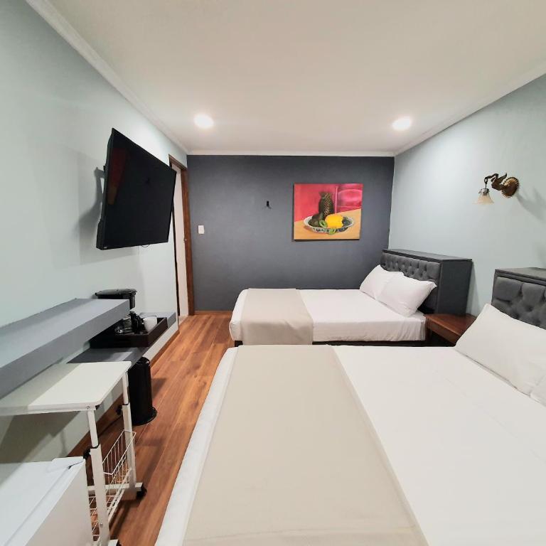 Suite privada doble cama mat Eugenio S - One-Bedroom Apartment - 3
