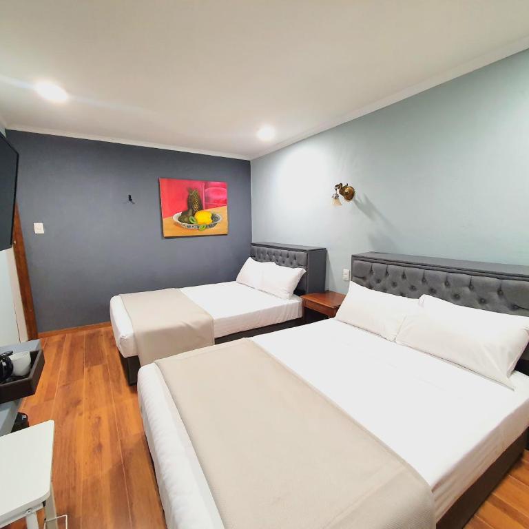 Suite privada doble cama mat Eugenio S - One-Bedroom Apartment - 1