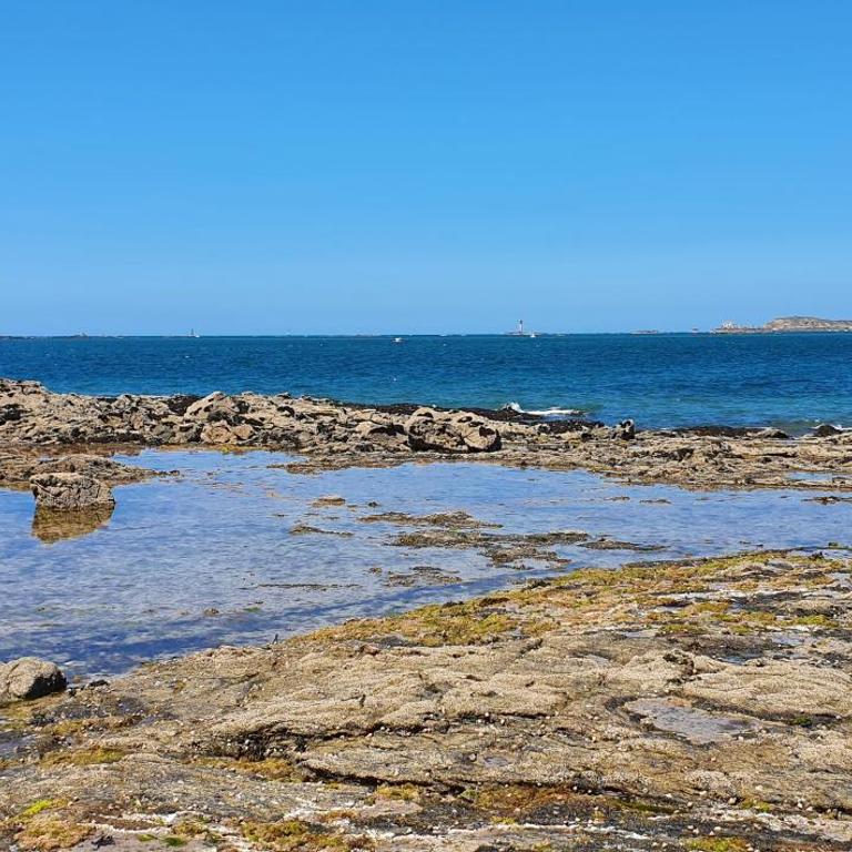 Grand studio lumineux à côté des plages - Monolocale Standard - 10
