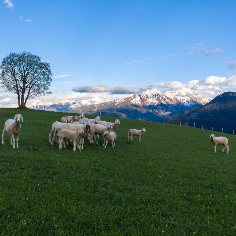 Hüttenzauber - Appartement avec Vue sur la Montagne - 33