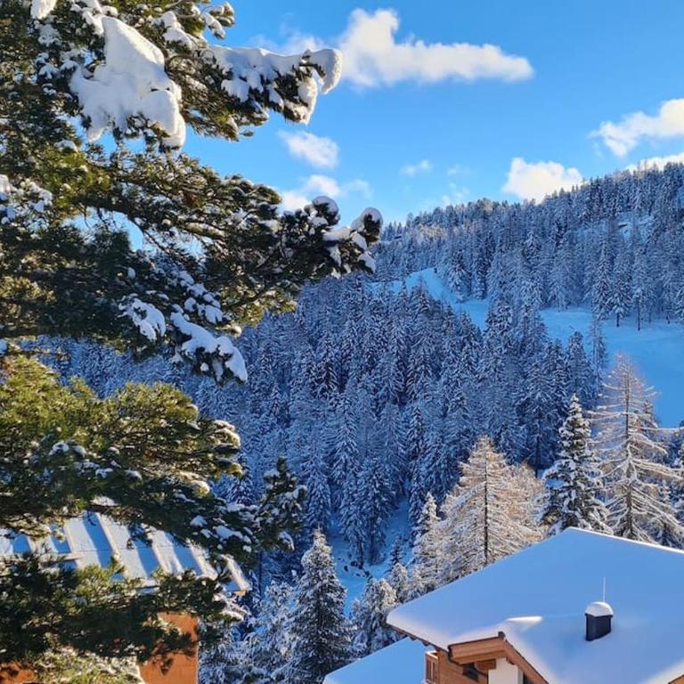 Idyllische Zirbenholz Alpin Huette - Ferienhaus - 40