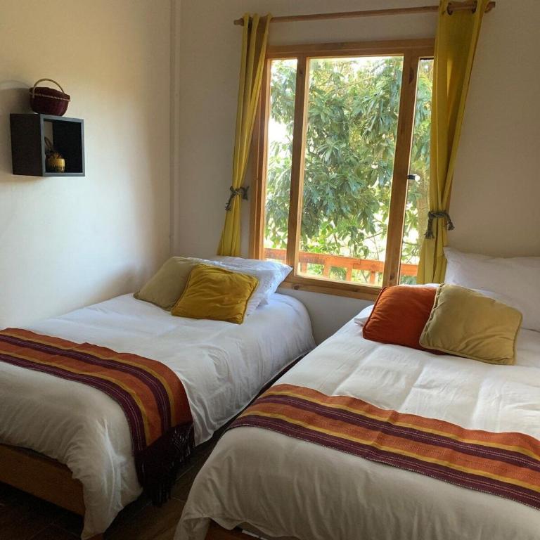 Hermoso alojamiento en una bella reserva natural de bosque alto andino en Tuta Boyacá - Villa con vistas al jardín - 40