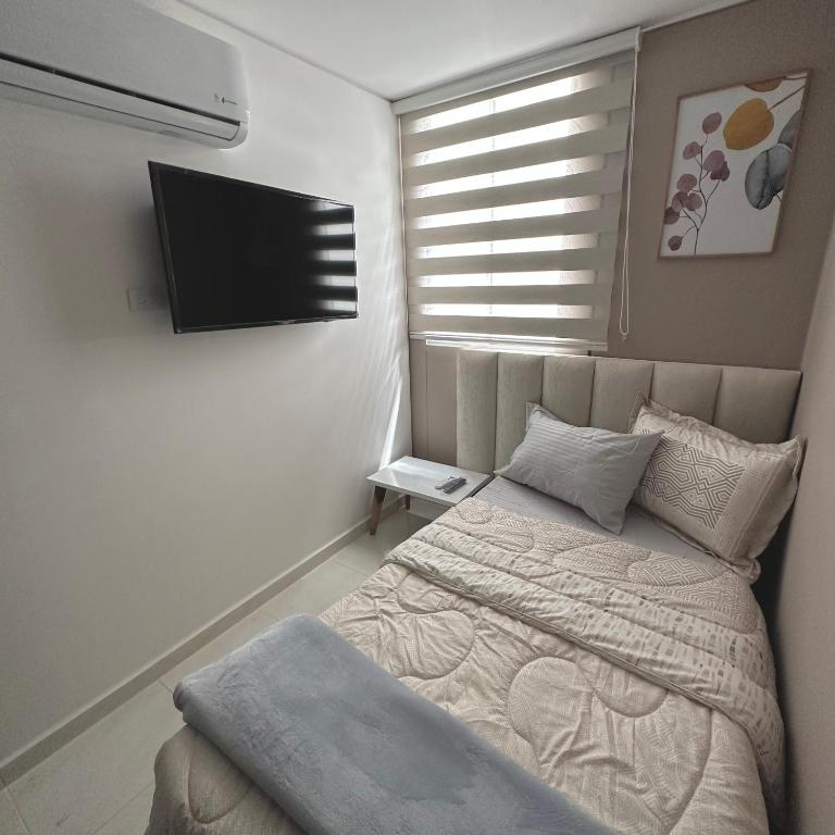 Apartamento Amoblado Luxury Excelente Ubicacion - Apartamento de 3 dormitorios - 28