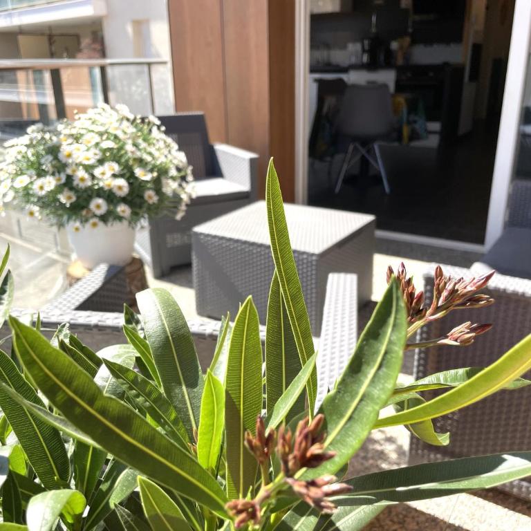 Marguerite-Gap Centre - Apartment mit 1 Schlafzimmer - 7