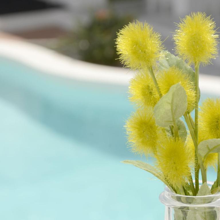 Gibshouses Rosa - Apartment - 18