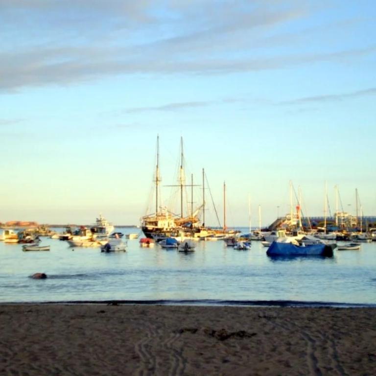 ANNA beautiful apartment in the first Oceanline in Los Cristianos. - Apartamento de 1 dormitorio - 2