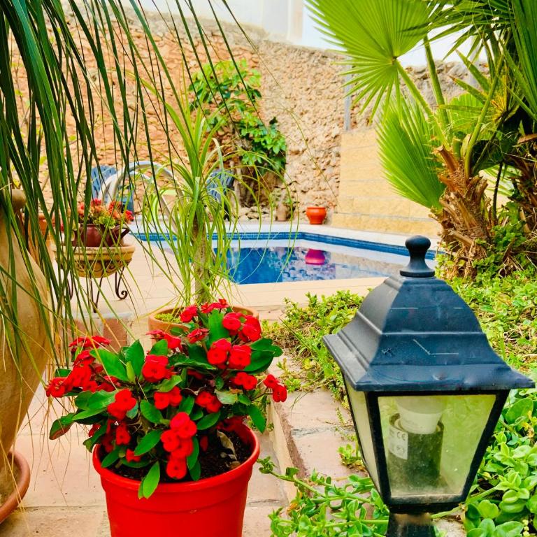 Boutique Hostal Lorca - Habitación Doble con vistas a la piscina - 1 o 2 camas - 2