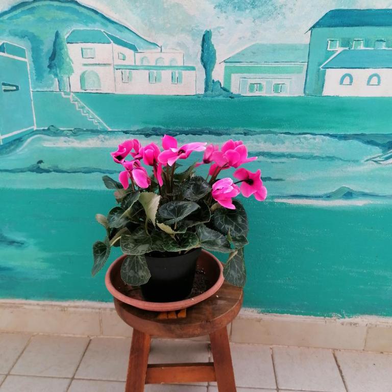 B&B Il Giardinetto Alghero - Camera Matrimoniale con Bagno Privato - 11