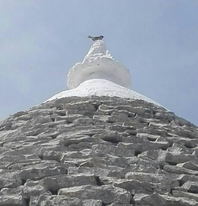 Borgo trulli 1789, residenze storiche - Three-Bedroom House - 10