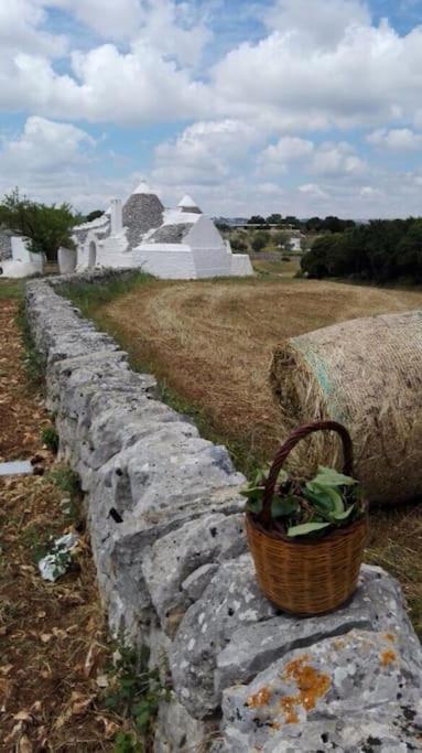 Borgo trulli 1789, residenze storiche - Three-Bedroom House - 12
