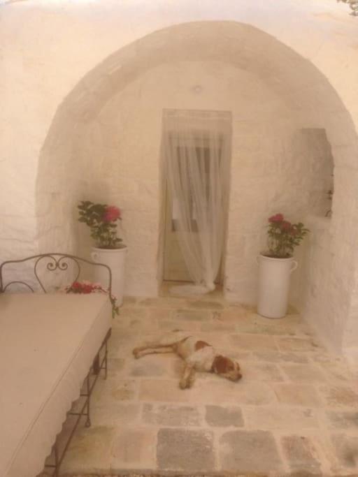Borgo trulli 1789, residenze storiche - Three-Bedroom House - 16