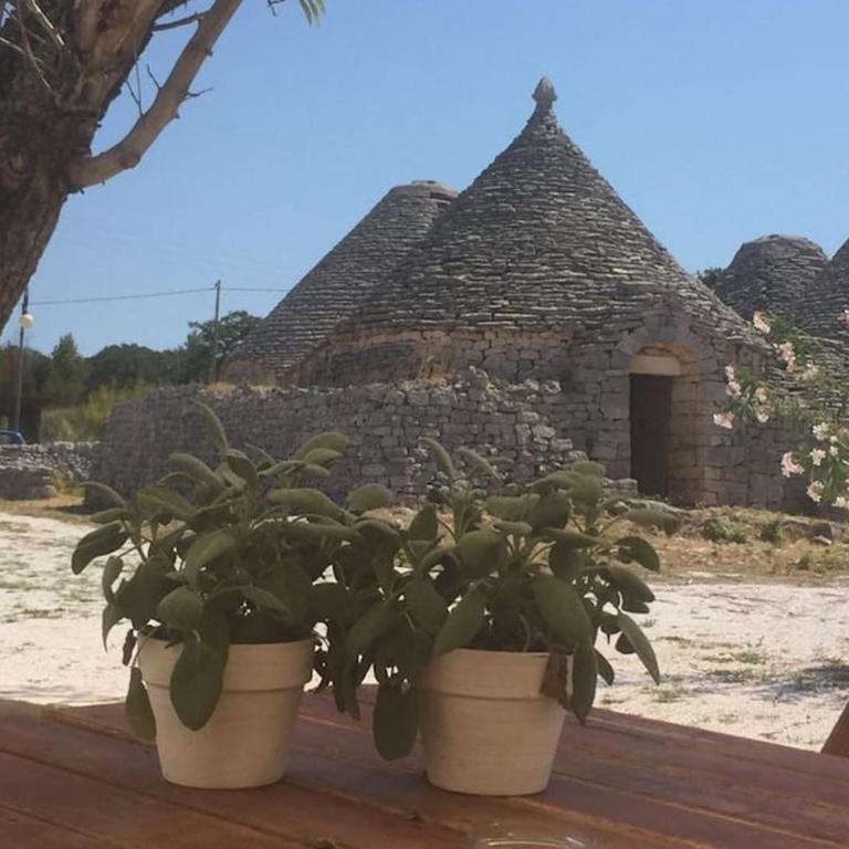 Borgo trulli 1789, residenze storiche - Three-Bedroom House - 22