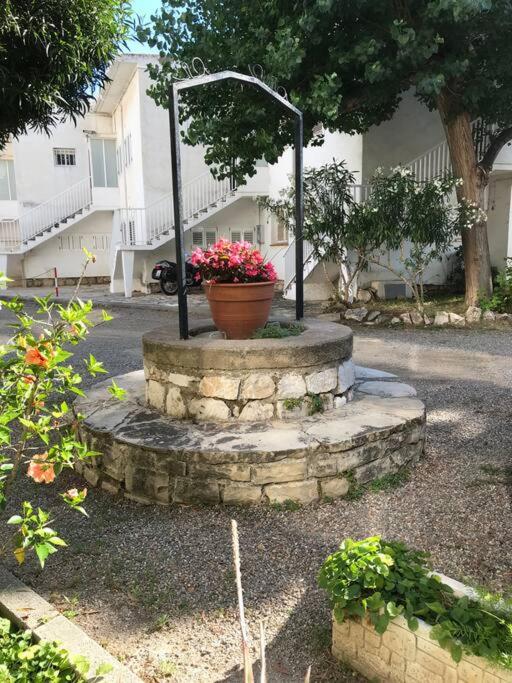 Cambrils. Primera Línea REAL. Centro. EXCLUSIVO. - One-Bedroom Apartment - 11