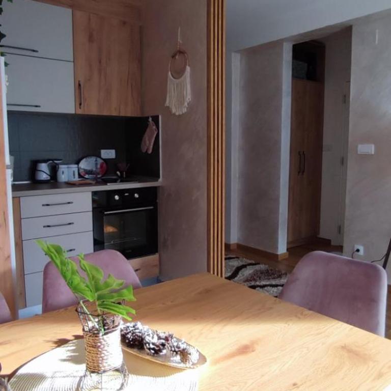 Verona Lakic Vrnjacka Banja - Apartman sa 1 Spavaćom Sobom - 31