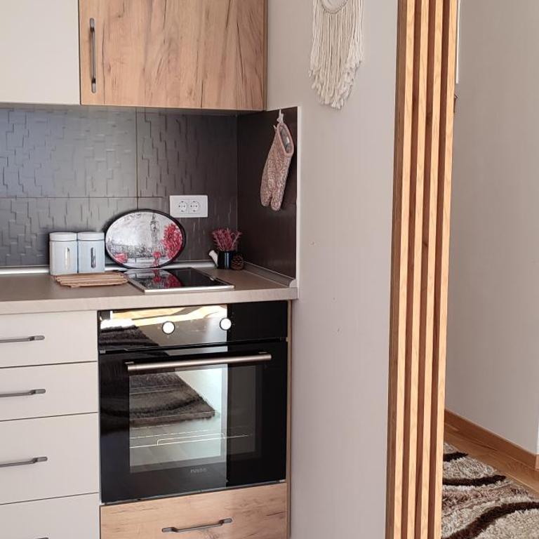 Verona Lakic Vrnjacka Banja - Apartman sa 1 Spavaćom Sobom - 26