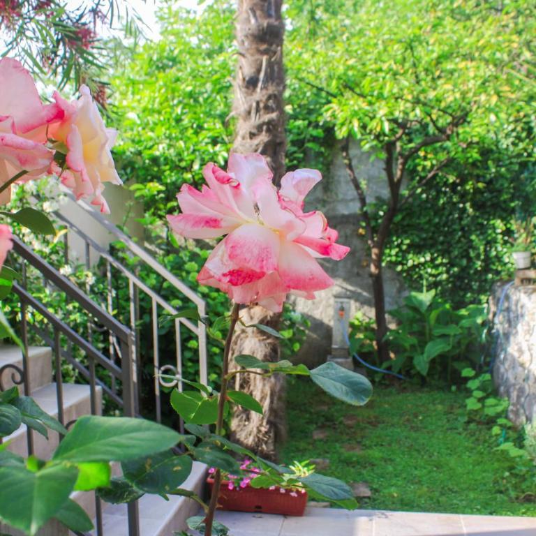 Sunny Bay Apartments - Apartman sa Pogledom na More - 18