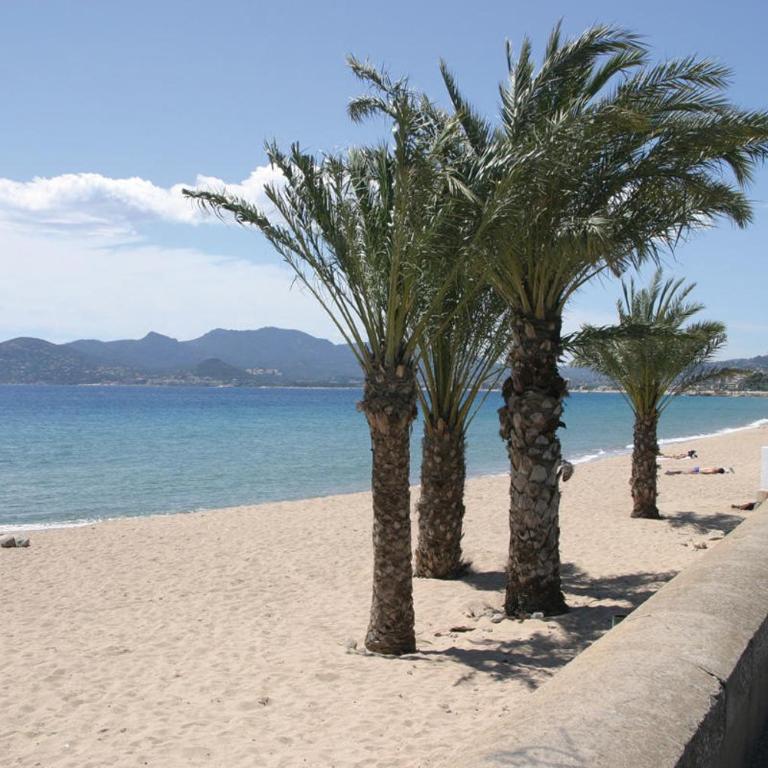 Maisonnette Studio bas Suquet, proche plage et palais - Appartement 1 Chambre - 21