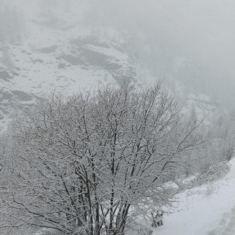 Les Hauts du Roux - Appartement - 11