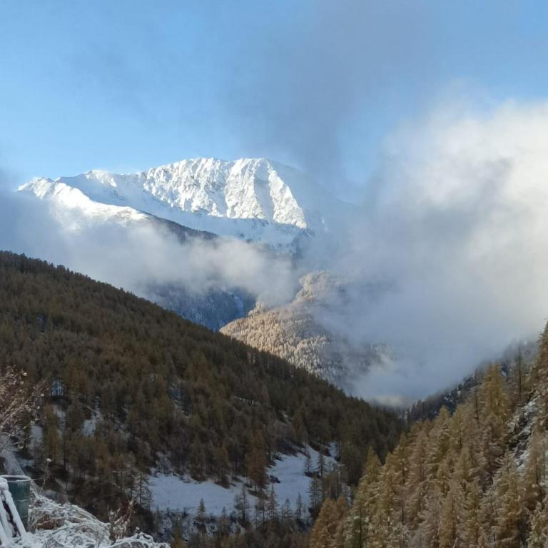 Les Hauts du Roux - Appartement - 10