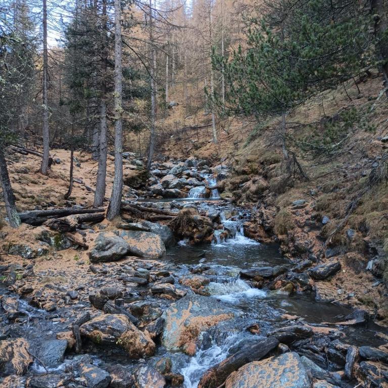 Les Hauts du Roux - Appartement - 9