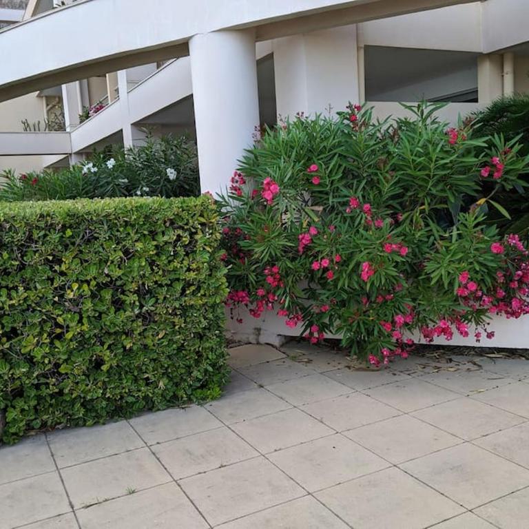 Appartement cosy, superbe vue mer, piscine. - Appartement 1 Chambre - 44