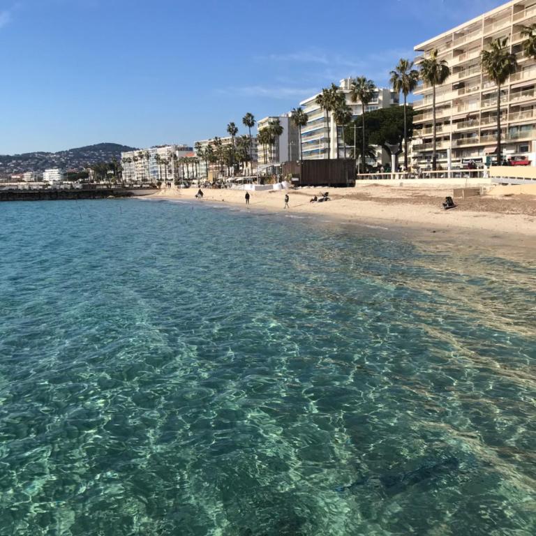 Superbe T2 Juan Les Pins 300m des plages - Appartamento con 1 Camera da Letto - 10