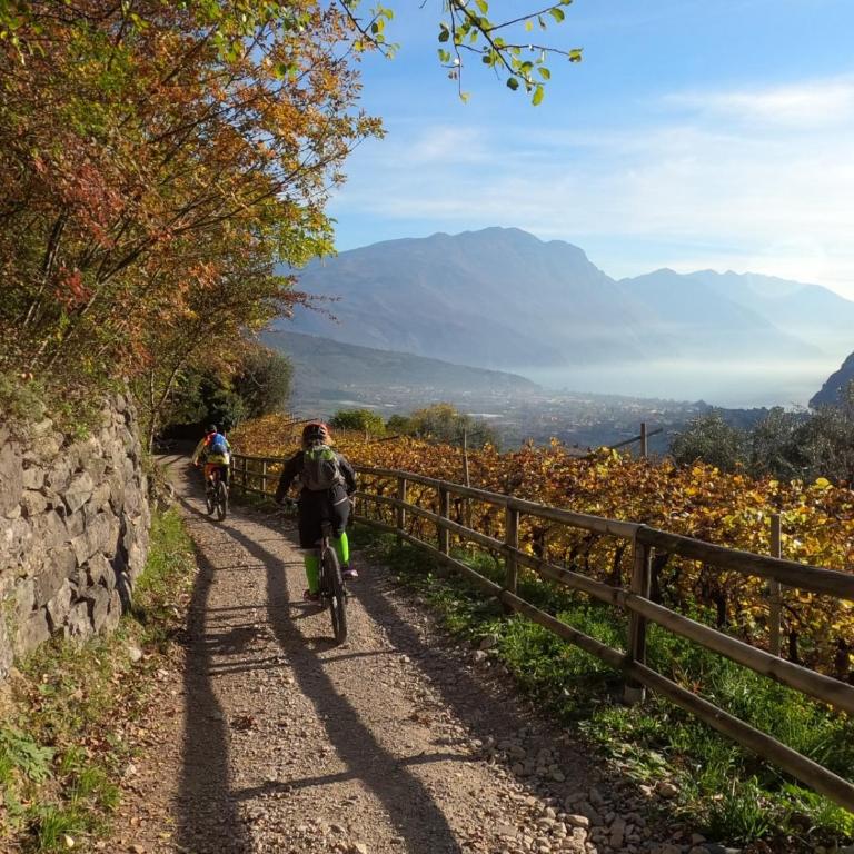 Lake Garda Bike&Hike Apartment - Monolocale con Vista Montagna - 67