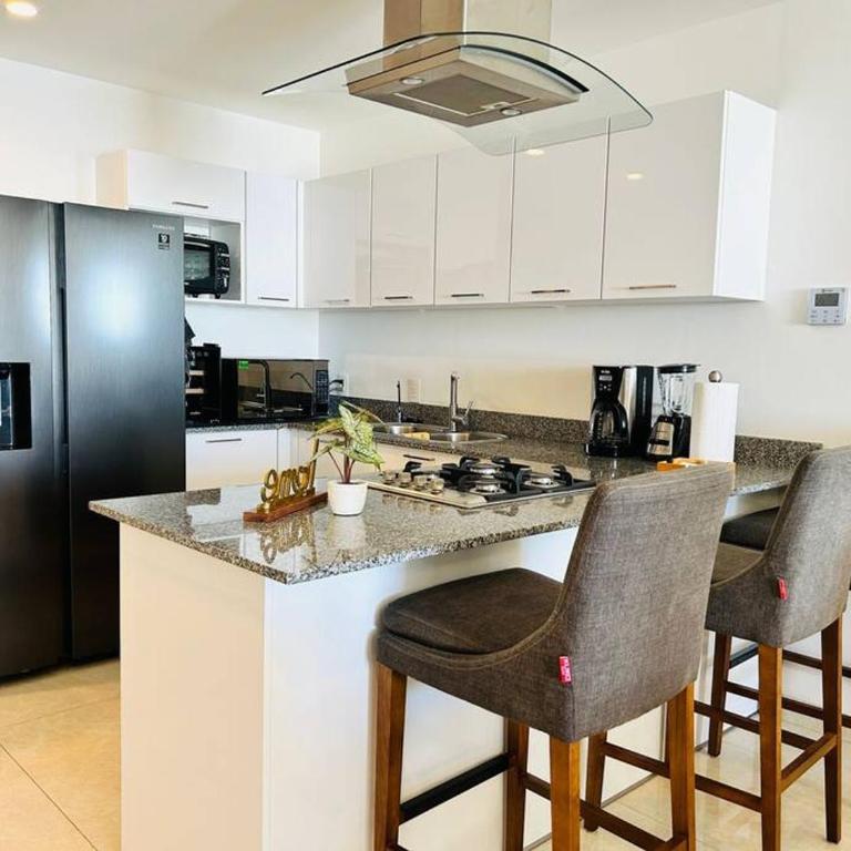Lujoso departamento frente al mar/camino al mar - Two-Bedroom Apartment - 27