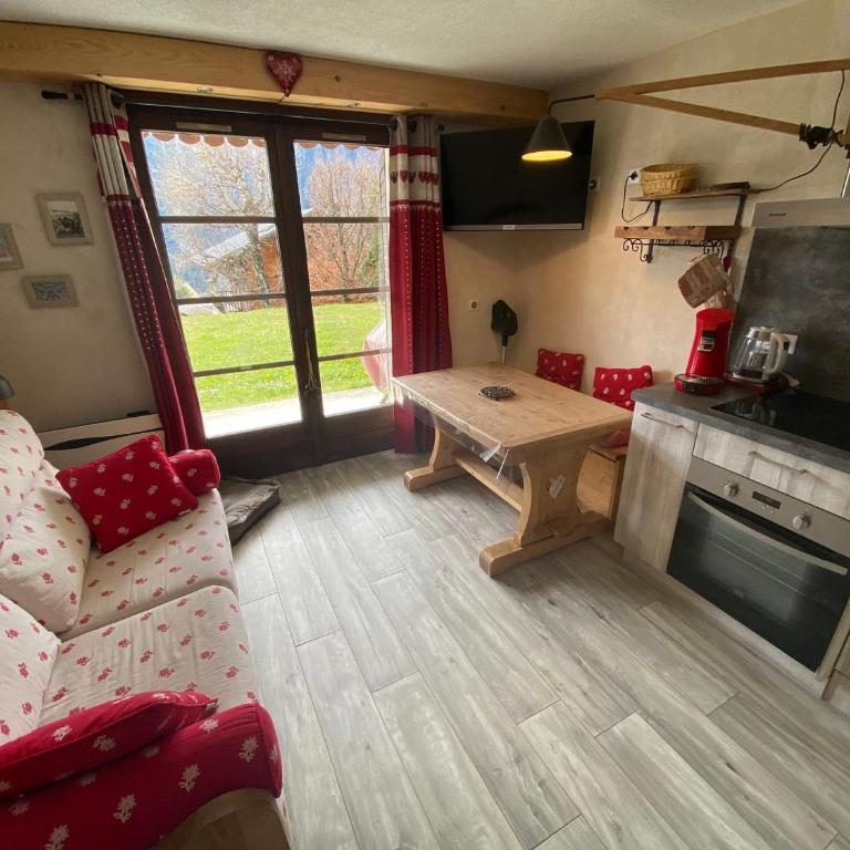 Superbe studio avec terrasse près des pistes à Châtel - FR-1-693-96 - Studio - 1