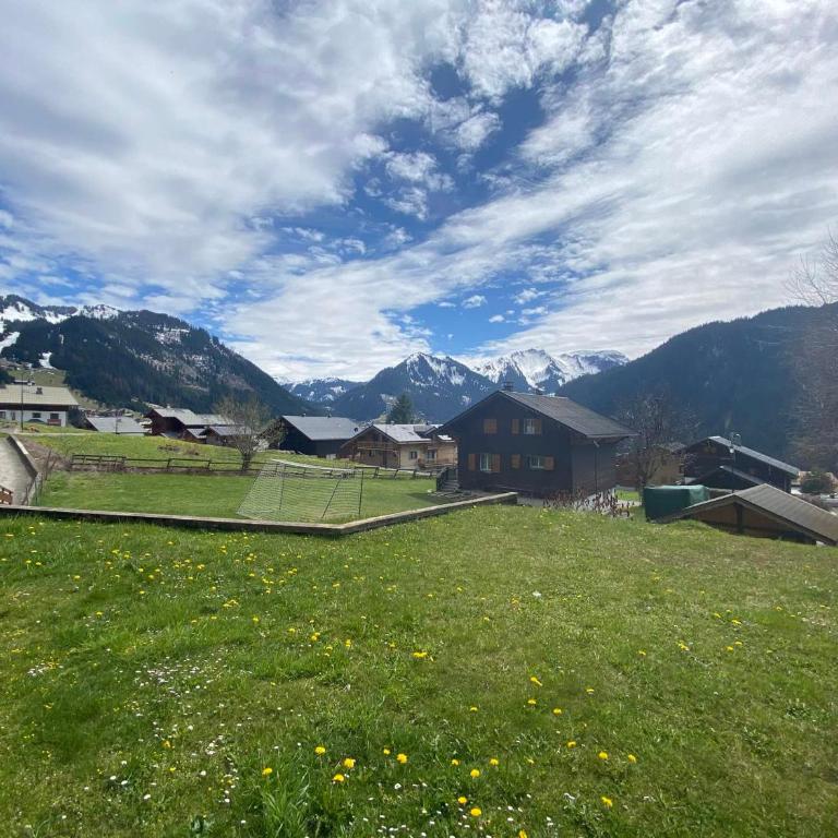 Superbe studio avec terrasse près des pistes à Châtel - FR-1-693-96 - Studio - 10