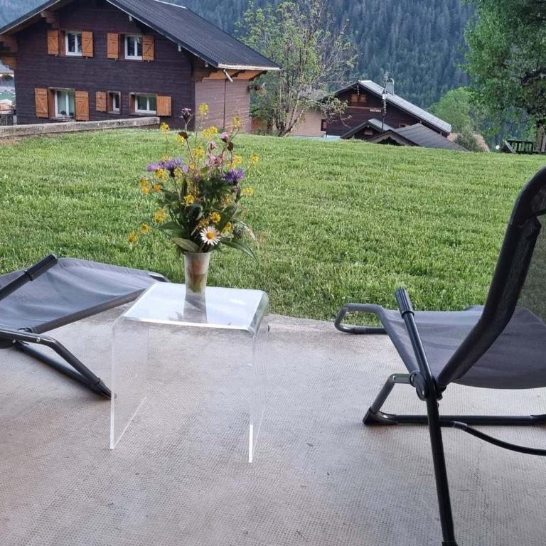 Superbe studio avec terrasse près des pistes à Châtel - FR-1-693-96 - Studio - 12