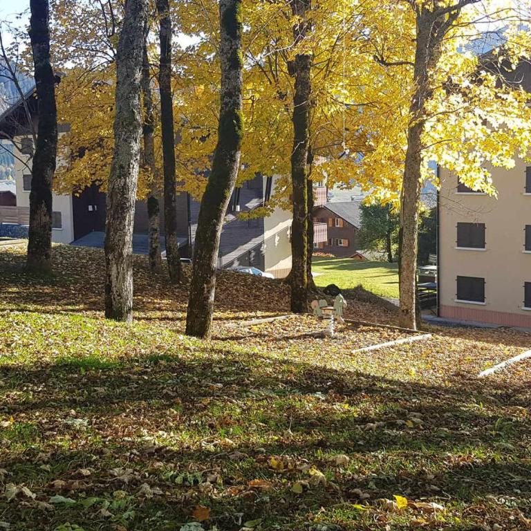 Superbe studio avec terrasse près des pistes à Châtel - FR-1-693-96 - Studio - 15